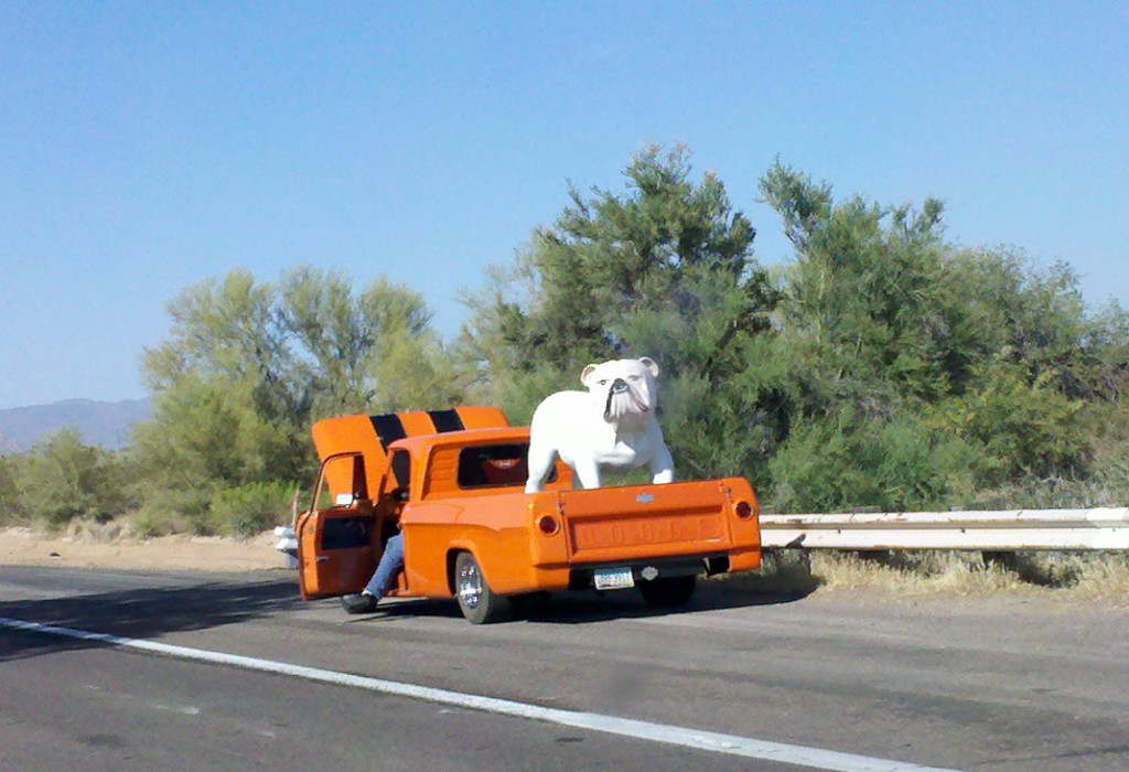 Yo-Dawg